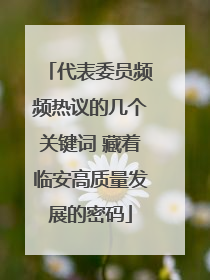 代表委员频频热议的几个关键词 藏着临安高质量发展的密码