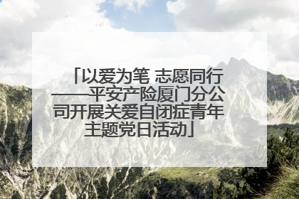 以爱为笔 志愿同行——平安产险厦门分公司开展关爱自闭症青年主题党日活动