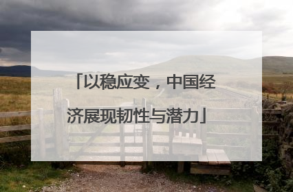 以稳应变，中国经济展现韧性与潜力