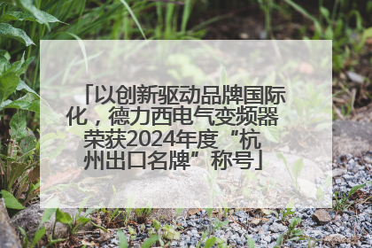 以创新驱动品牌国际化，德力西电气变频器荣获2024年度“杭州出口名牌”称号