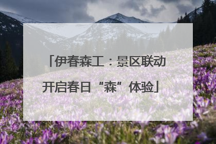 伊春森工：景区联动开启春日“森”体验