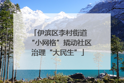 伊滨区李村街道 “小网格”撬动社区治理“大民生”