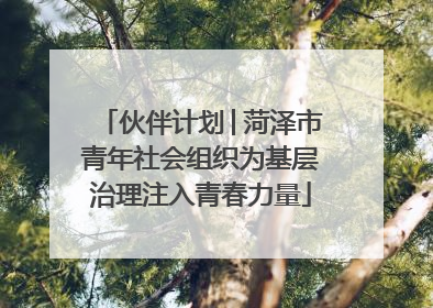伙伴计划│菏泽市青年社会组织为基层治理注入青春力量