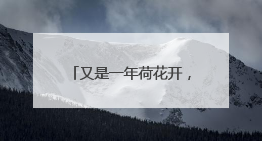 又是一年荷花开，微山湖有了新玩法