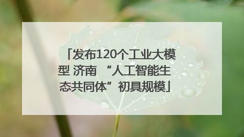 发布120个工业大模型 济南 “人工智能生态共同体”初具规模