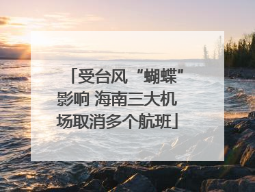 受台风“蝴蝶”影响 海南三大机场取消多个航班