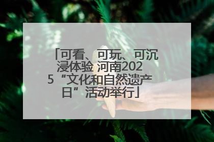 可看、可玩、可沉浸体验 河南2025“文化和自然遗产日”活动举行