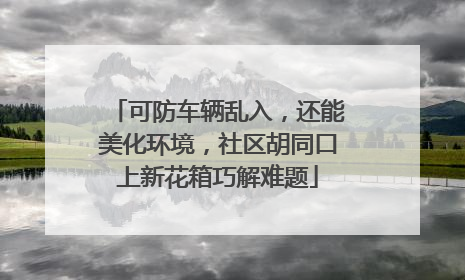 可防车辆乱入，还能美化环境，社区胡同口上新花箱巧解难题