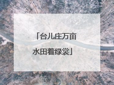 台儿庄万亩水田着绿裳
