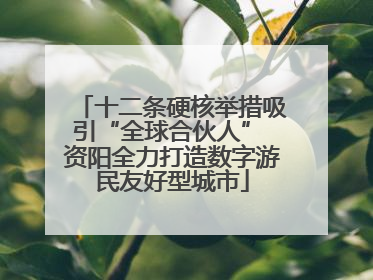 十二条硬核举措吸引“全球合伙人” 资阳全力打造数字游民友好型城市