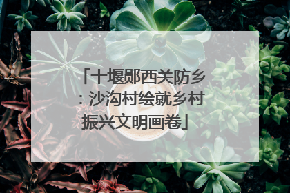 十堰郧西关防乡：沙沟村绘就乡村振兴文明画卷