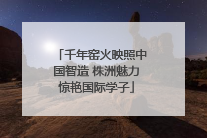 千年窑火映照中国智造 株洲魅力惊艳国际学子