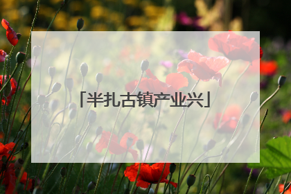 半扎古镇产业兴