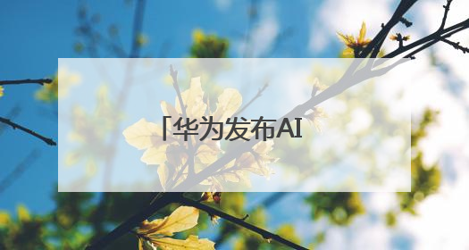 华为发布AI DC解决方案
