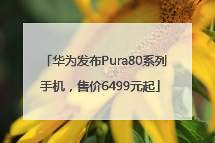 华为发布Pura80系列手机，售价6499元起