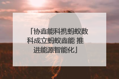 协鑫能科携蚂蚁数科成立蚂蚁鑫能 推进能源智能化