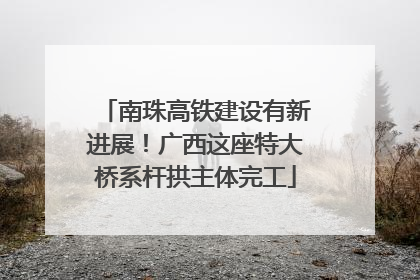 南珠高铁建设有新进展！广西这座特大桥系杆拱主体完工