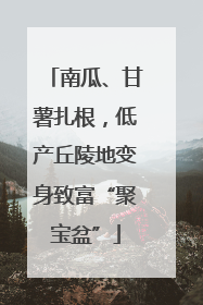 南瓜、甘薯扎根，低产丘陵地变身致富“聚宝盆”