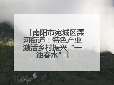 南阳市宛城区溧河街道：特色产业激活乡村振兴“一池春水”