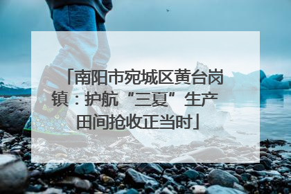 南阳市宛城区黄台岗镇：护航“三夏”生产 田间抢收正当时