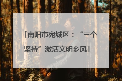 南阳市宛城区：“三个坚持”激活文明乡风