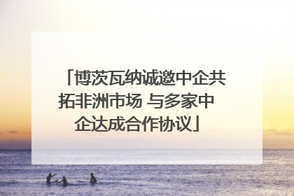 博茨瓦纳诚邀中企共拓非洲市场 与多家中企达成合作协议