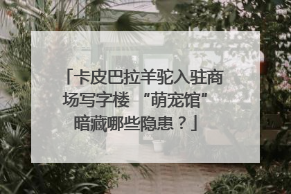 卡皮巴拉羊驼入驻商场写字楼 “萌宠馆”暗藏哪些隐患？