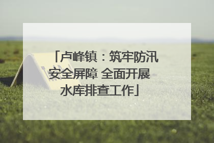 卢峰镇：筑牢防汛安全屏障 全面开展水库排查工作