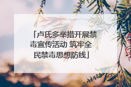 卢氏多举措开展禁毒宣传活动 筑牢全民禁毒思想防线
