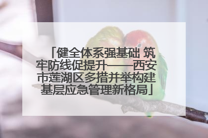 健全体系强基础 筑牢防线促提升——西安市莲湖区多措并举构建基层应急管理新格局