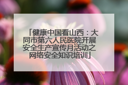 健康中国看山西：大同市第六人民医院开展安全生产宣传月活动之网络安全知识培训