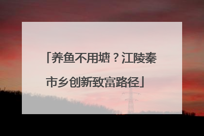 养鱼不用塘？江陵秦市乡创新致富路径