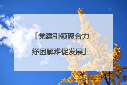党建引领聚合力 纾困解难促发展