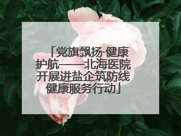 党旗飘扬·健康护航——北海医院开展进盐企筑防线健康服务行动