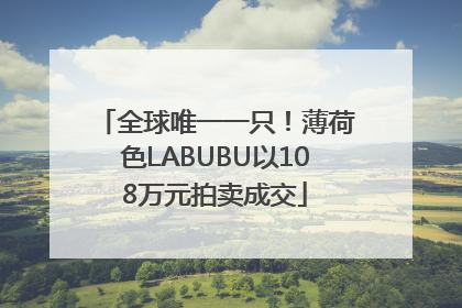 全球唯一一只！薄荷色LABUBU以108万元拍卖成交