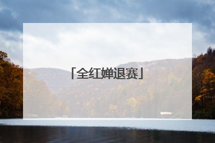 全红婵退赛