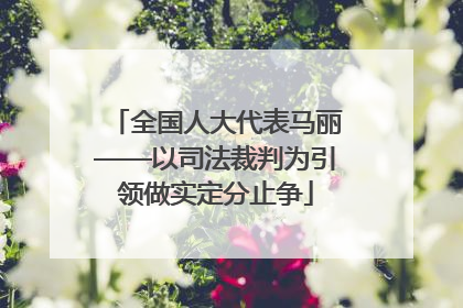 全国人大代表马丽——以司法裁判为引领做实定分止争