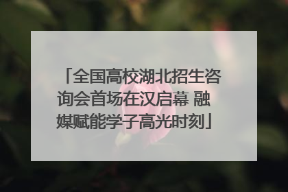 全国高校湖北招生咨询会首场在汉启幕 融媒赋能学子高光时刻