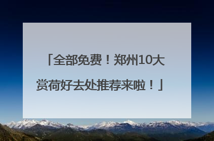 全部免费！郑州10大赏荷好去处推荐来啦！