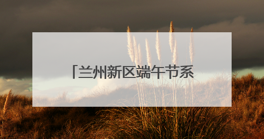 兰州新区端午节系列活动精彩纷呈