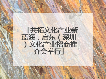 共拓文化产业新蓝海，启东（深圳）文化产业招商推介会举行