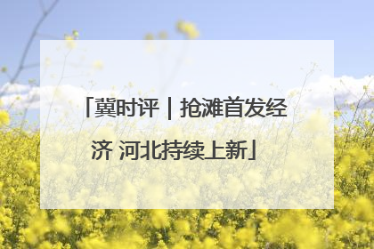 冀时评｜抢滩首发经济 河北持续上新