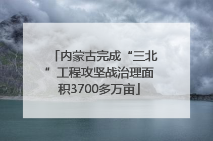 内蒙古完成“三北”工程攻坚战治理面积3700多万亩