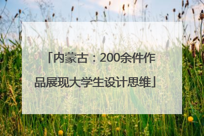 内蒙古：200余件作品展现大学生设计思维