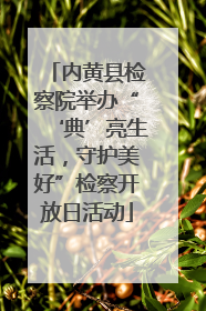 内黄县检察院举办“‘典’亮生活，守护美好”检察开放日活动