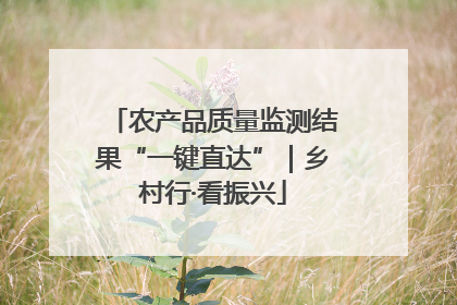 农产品质量监测结果“一键直达”｜乡村行·看振兴