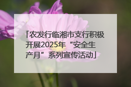 农发行临湘市支行积极开展2025年“安全生产月”系列宣传活动