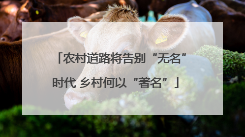 农村道路将告别“无名”时代 乡村何以“著名”