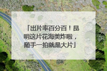 出片率百分百！昆明这片花海美炸啦，随手一拍就是大片