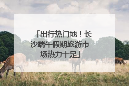 出行热门地！长沙端午假期旅游市场热力十足